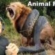 14 CRAZIEST Animal Fights Caught On Camera