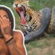 14 CRAZIEST Animal Fights Caught On Camera | Reaction