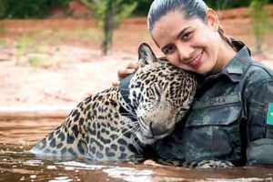 10 Most Heart Melting Animal Rescues