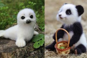 Cute baby animals Videos Compilation cute moment of the animals - Cutest Animals #10