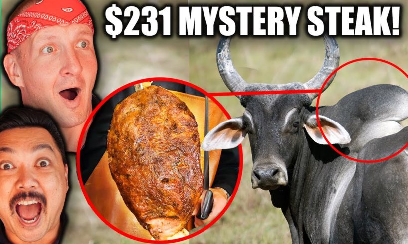 $2 Steak VS $231 Steak!! The Cow Part You've NEVER SEEN Before!!