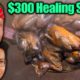 $5 Healing Soup VS $300 Healing Soup!! Rare Traditional Foods of Asia!!