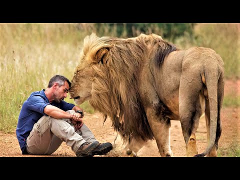 7 Strongest Friendships Between Humans and Wild Animals