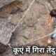 7 Unbelievable Animal Rescues ये तेंदुआ जब कुँए में फंस गया तो कैसे निकला गया देखिये | iQ Rich