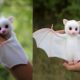 9 Cute Exotic Animals You Can Own as Pets