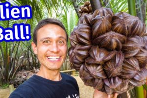 Amazing Food - ALIEN SPIKY BALL!! You Won’t Believe How They EAT This!!