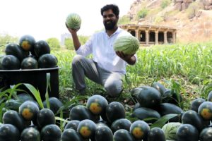 Amazing Watermelon Juice Distributing To Poor | Nawabs Kitchen |Water Melon