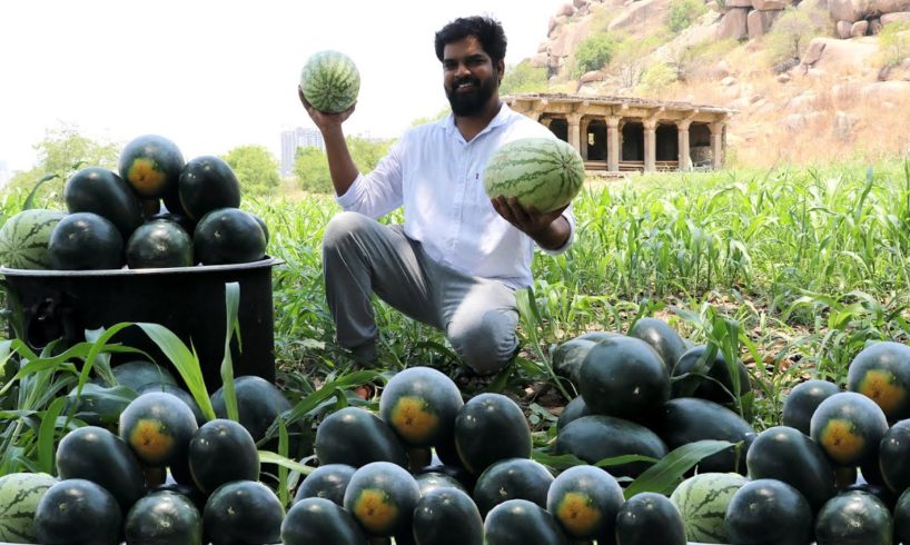 Amazing Watermelon Juice Distributing To Poor | Nawabs Kitchen |Water Melon