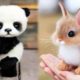 Animals SOO Cute! Cute baby animals Videos Compilation cutest moment of the animals #9