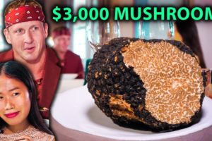 Asia's ALIEN MUSHROOM Species!!! From Farm to Fine Dining!!