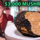 Asia's ALIEN MUSHROOM Species!!! From Farm to Fine Dining!!