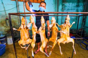 Asia's Strange Meat Secret!! Why don't more people eat this??