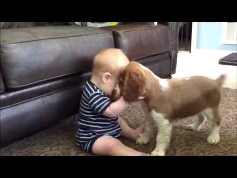 BABY animals + BABY humans = LOTS OF FUN! ? FUN and CUTENESS overload!