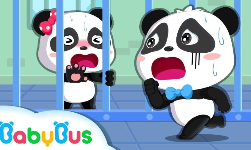 Baby Panda Rescues Friends | Math Kingdom Adventure | Learn Numbers | Kids Cartoon | BabyBus