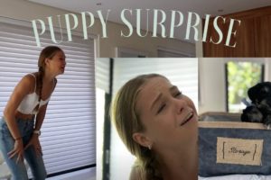 CUTEST PUPPY SURPRISE *SHE CRIED*