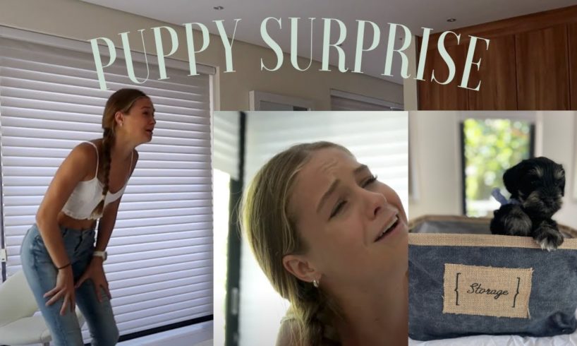 CUTEST PUPPY SURPRISE *SHE CRIED*