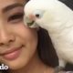 Cacatúa rescatada ama bailar con su mamá I El Dodo | El Dodo