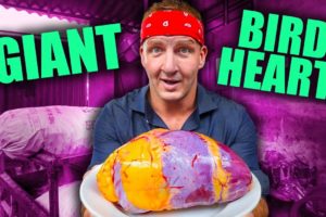 Can You Eat That?? World’s STRANGEST Animal Organ Dishes!! | Full Series (Sonny & Calvin)