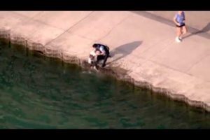 Chicago police officer rescues dog from Lake Michigan: RAW VIDEO