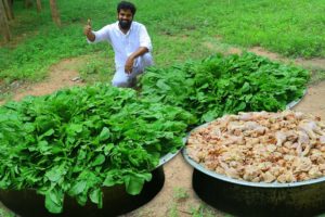 Chicken with Spinach(Palak) super Delicious ! Palak chicken Recipe by Nawabs kitchen