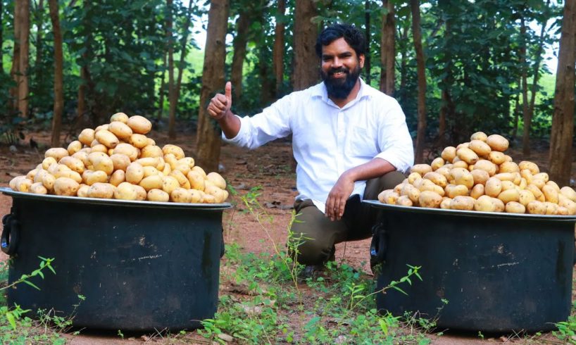 Chilli Potatoes Recipe | Easy To Make Starter/Appetizer Recipe |