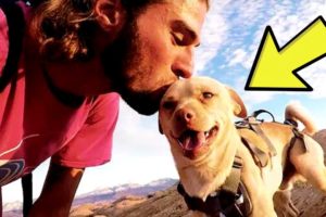 Cliff Diver Rescues Abandoned Dog, Takes It On Extreme Adventures