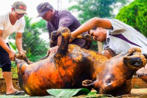 Cooking a WHOLE COW in 4 HOURS!! Vietnam Village Life!!! | Surviving Vietnam Part 5
