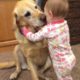 Cute Babies Playing With Dogs Compilation - Funny Baby And Pets