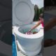Cutest Puppy Ever Swimming in Worlds Largest Toilet and Jumping in Pool #shorts