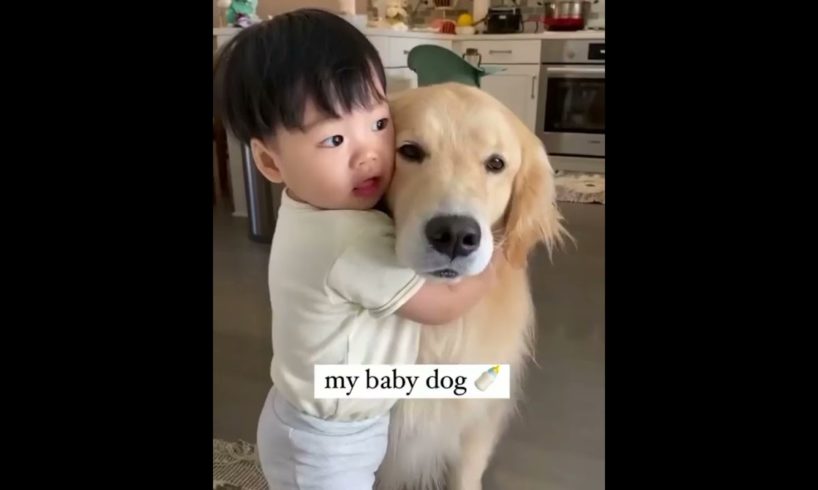 Cutest dogs video compilation  ever ♥️