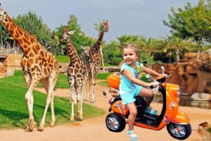 Diana feeds animals at the zoo, fun family trip