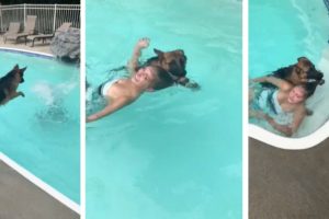 Dog Rescues 'Drowning' Owner From Pool