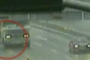 Dog rescues dog from highway in Chile