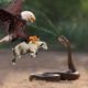 Eagle - Monsters Of The Sky - Most Amazing Moments Of Wild Animal Fights - Eagle , Snake, Cheetah