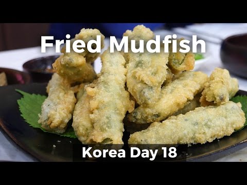 Eating Crispy Mudfish in Namwon, South Korea (Day 18)