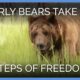 Elderly Bears Take First Steps of Freedom | PETA Animal Rescues