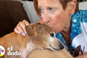 Esta perrita se emociona tanto cuando visita a su abuela | El Dodo