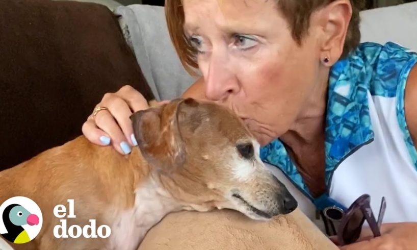 Esta perrita se emociona tanto cuando visita a su abuela | El Dodo