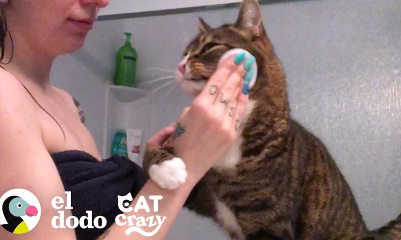 Este gato sigue la rutina diaria de su mamá al pie de la letra | Cat Crazy I El Dodo