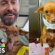 Este hombre cambió por completo la vida de este pequeño perrito I Dodo Héroes |  El Dodo