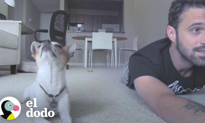 Este perro hace yoga con su papá | El Dodo