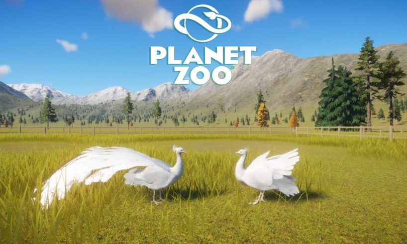 Every Albino Animal Fights in Planet Zoo - PART 2 | Planet Zoo Animal Fights | ALL 11 ANIMALS