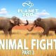 Every Animal Fights in Planet Zoo - PLANET ZOO | Planet Zoo Animal Fights | ALL 14 ANIMALS | PART 3