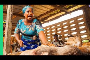 Extreme Bushmeat!! Nigeria's WILD Animal Markets!!