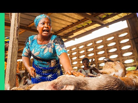 Extreme Bushmeat!! Nigeria's WILD Animal Markets!!