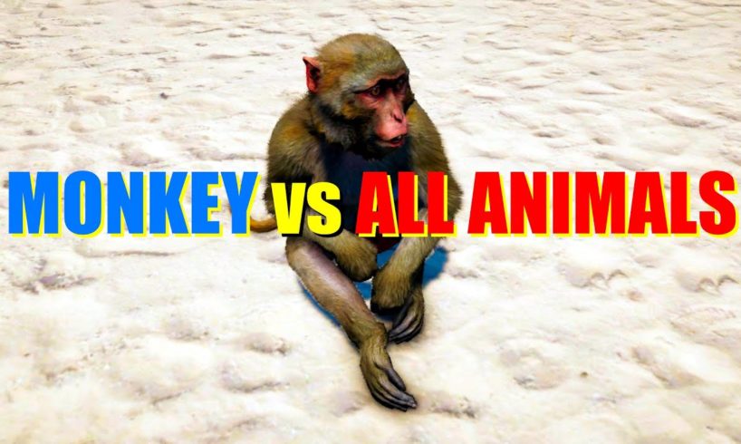 Far Cry 4 Animal Fight - Assam Macaque Monkey vs All Animals