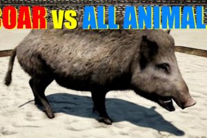 Far Cry 4 Animal Fight - Wild Boar vs All Animals Battles