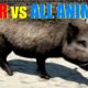 Far Cry 4 Animal Fight - Wild Boar vs All Animals Battles