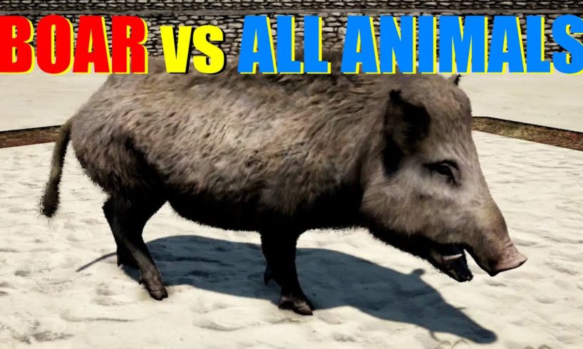 Far Cry 4 Animal Fight - Wild Boar vs All Animals Battles
