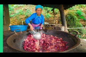 Forbidden Mountain Soup!! This Meat is BANNED in the USA!!! | TRIBAL VIETNAM EP7